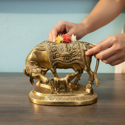 Hands placing a flower on Brass Kamdhenu Cow idol, symbol of prosperity and blessings