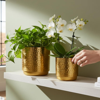 Two gold planters with green plants and white flowers on a white surface.