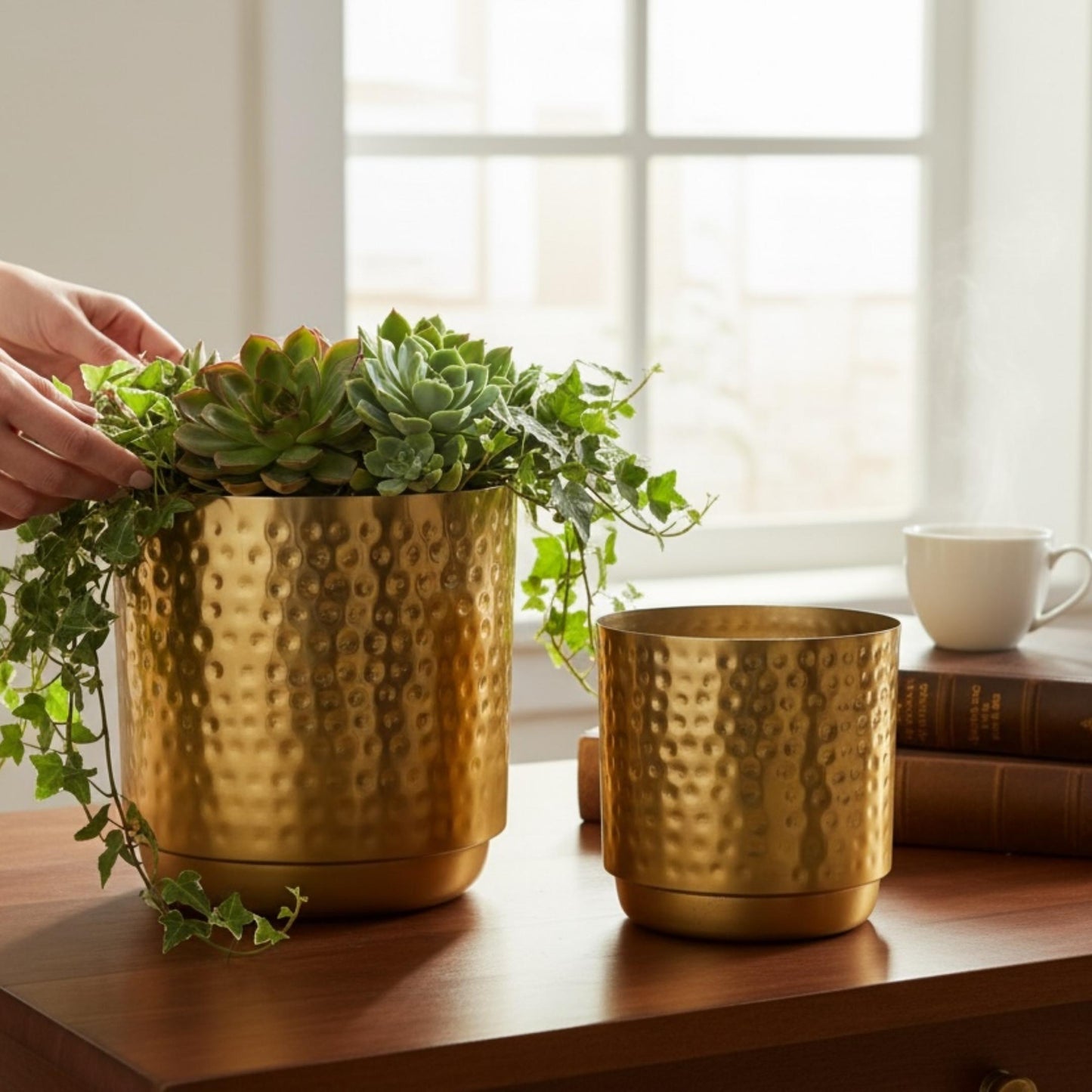 Modern gold planters with lush green indoor plants styled in a minimalist living room corner