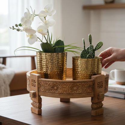 Decorative wooden tray with two potted plants on a table.